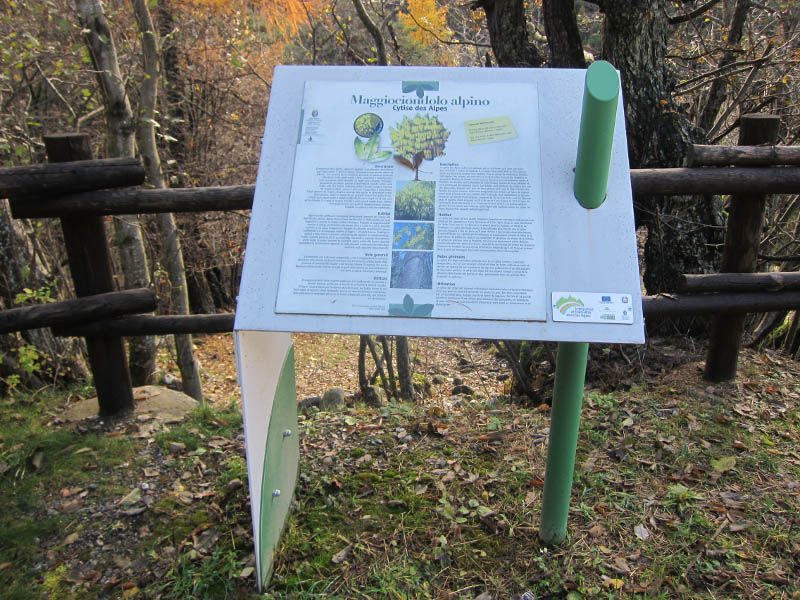 Itinerario Champdepraz foto (9)